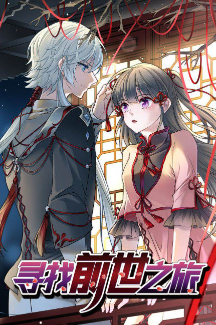 寻找前世之旅,寻找前世之旅漫画
